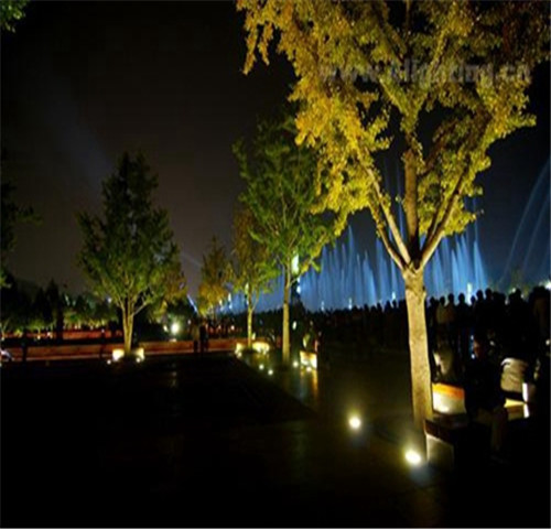 Наружное освещение сада из нержавеющей стали 316 привело световые огни дерева